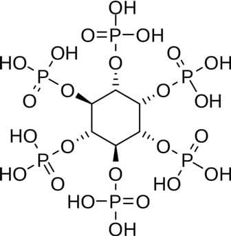 Vivendo com Ácido Fítico — Parte I