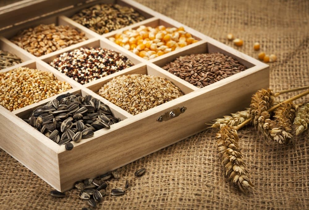 Vivendo com Ácido Fítico — Parte III