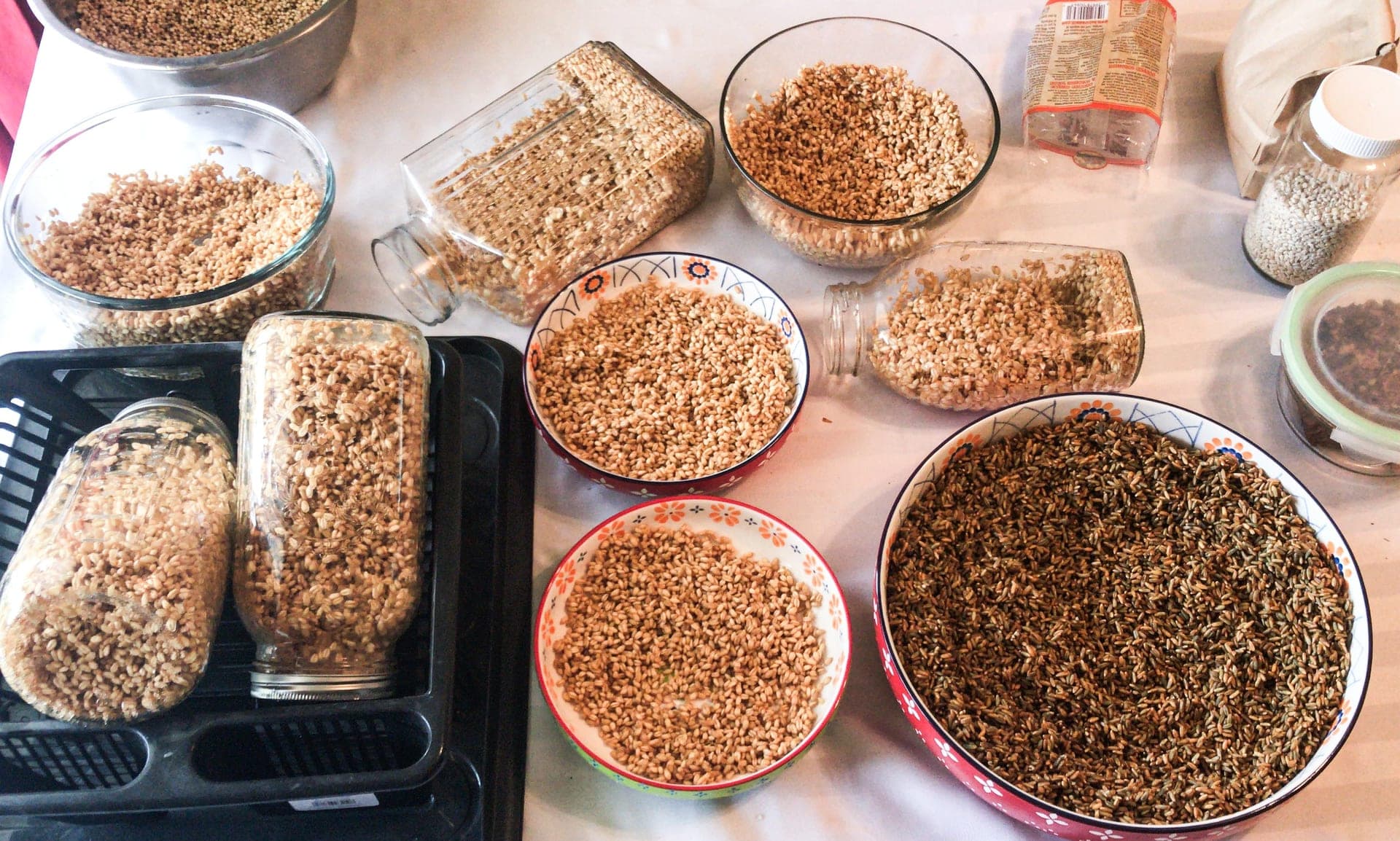 Vivendo com Ácido Fítico — Parte V